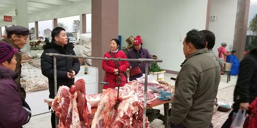 守護年關食品安全——石門市監在行動，聚焦食用農產品批發
